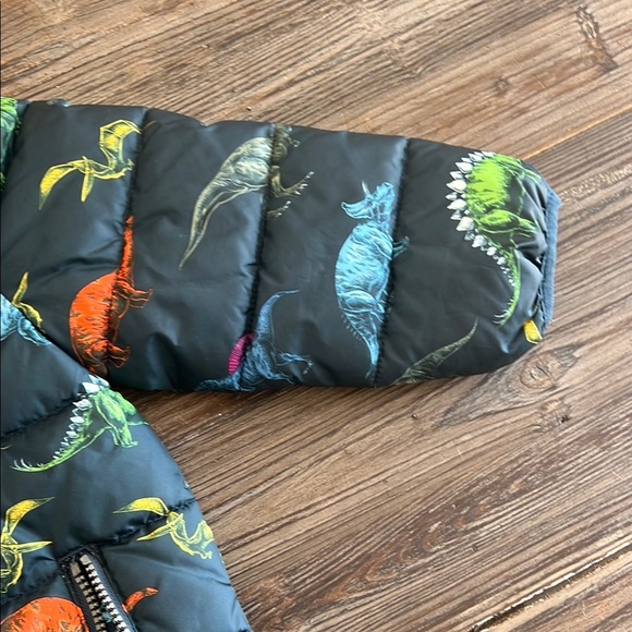 HM Kids Dinosaur Print Puffer Jacket - Picture 5 of 15